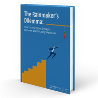 The Rainmakers Dilemma eBook