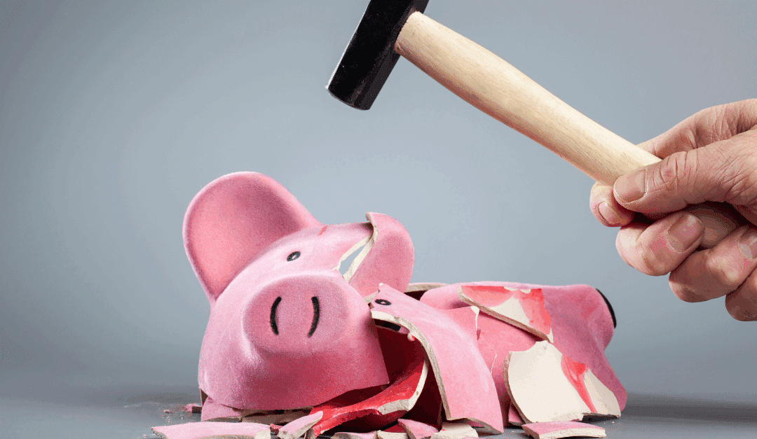 Why Your Business is Not a Piggy Bank